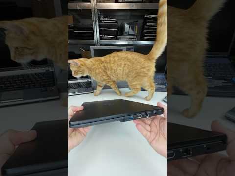 Windows 11 Laptop Fujitsu Lifebook U749 Intel Core i5-8265U 8 GB 256 GB SSD Win11 Pro 14 Zoll